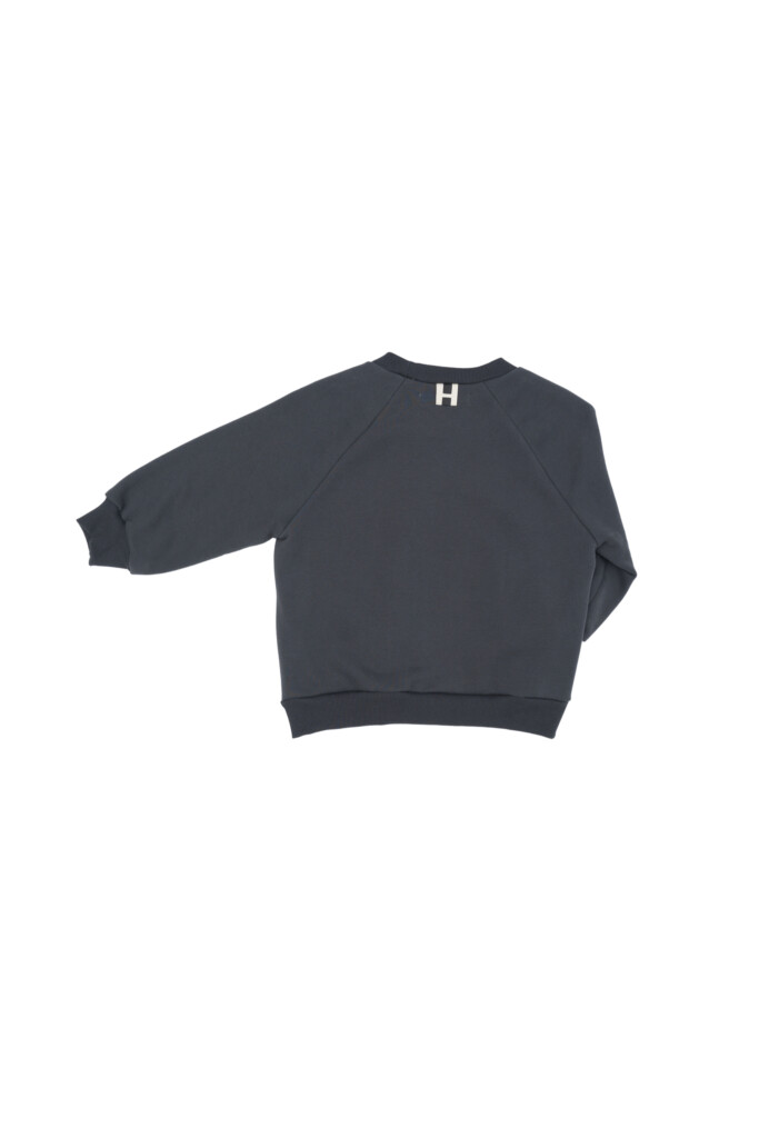 Little sweatshirt 