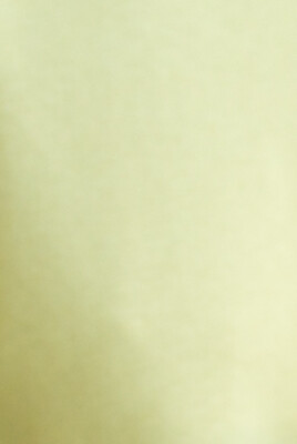 Kaparėlis IŠPARDAVIMAS  - 3